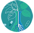 Plant Biotechnology